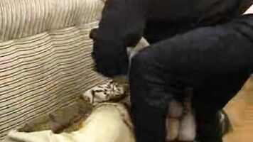 Taboo sex between family members caught on camera in an amateur and homemade rough anal.